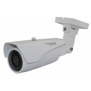 1/3" Sony Super HAD CCD II 700 TVL Face detection