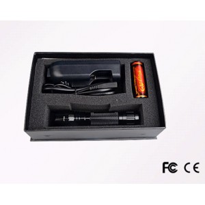 UV lampe + lader og batteri