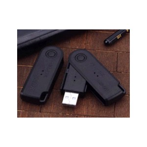 Spy Mini USB Disk HD Hidden Camera 16GB