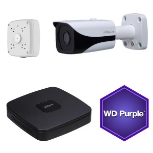 Dahua 4MP IP kamera Dome Sort s&aelig;t 1TB HD POE﻿