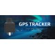 Small and easy to hide remote cut off power Glonass + GPS + LBS positioning long rang gps tracker 
