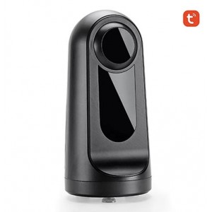 WiFi camera with pets laser teasing