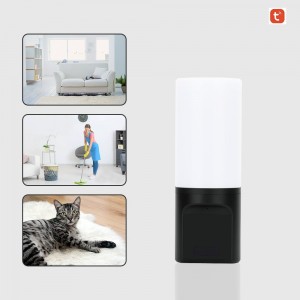 Tuya Wall Lights Wifi Camera